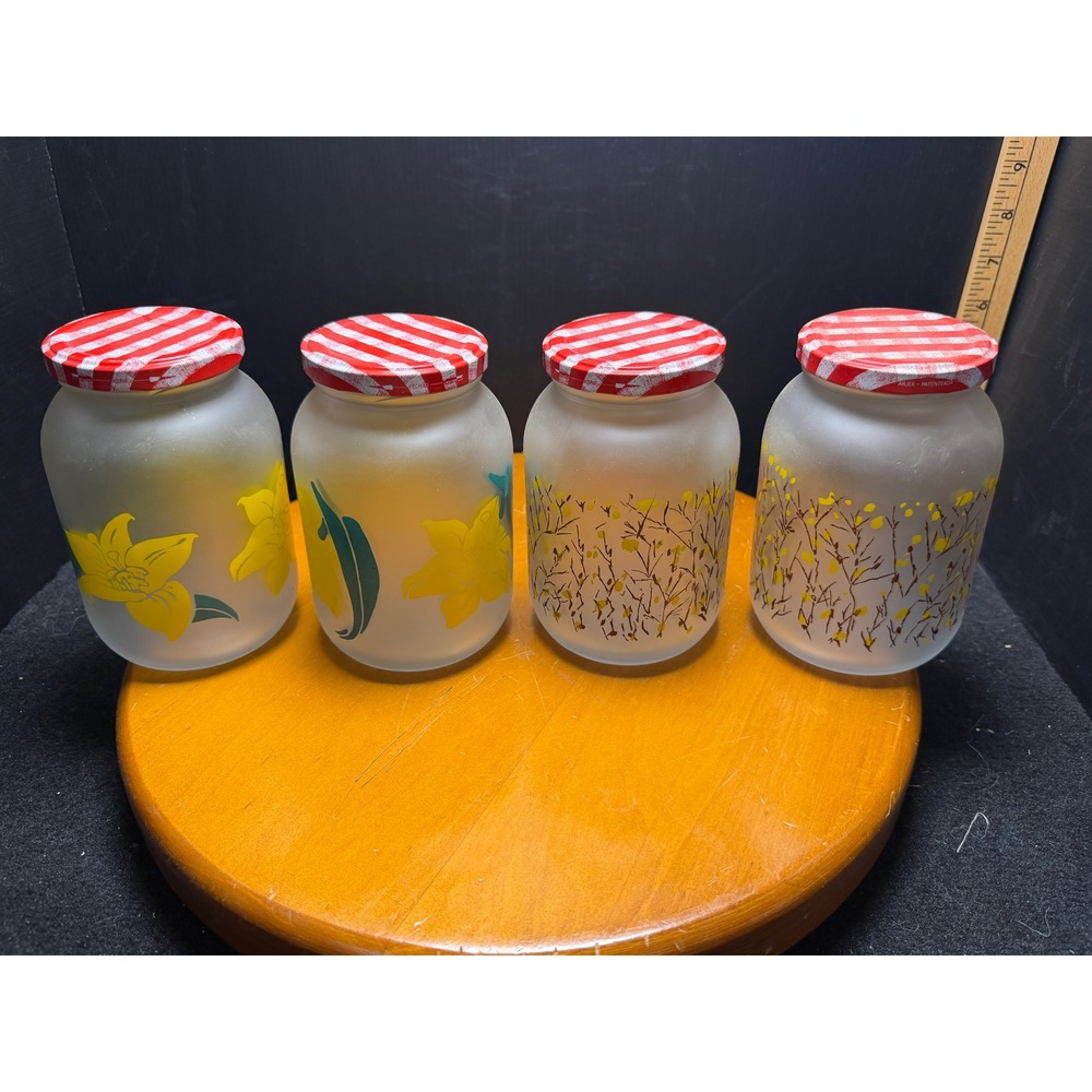 Vintage Arjek Frosted Glass Floral Canister Set of 4 Red Gingham Lids Retro